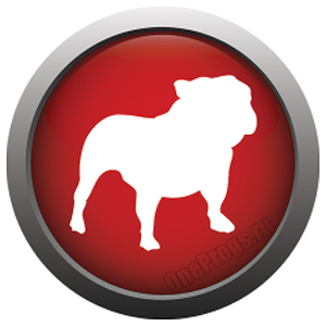 Bullguard-Internet-Security_logo